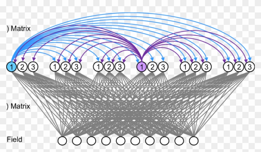 The H Matrix Mediates Signals From The Single Fully - Drawing Clipart