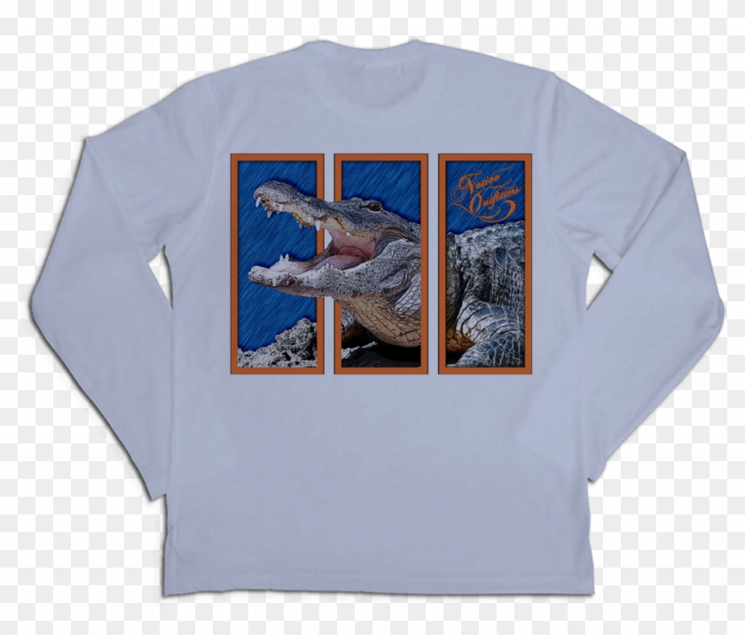 Whale Shark , Png Download Clipart