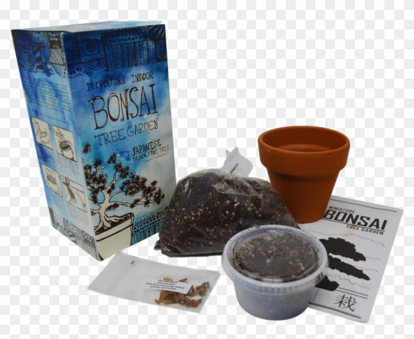 Diy Miniature Indoor Bonsai Tree Garden Clipart #1892958