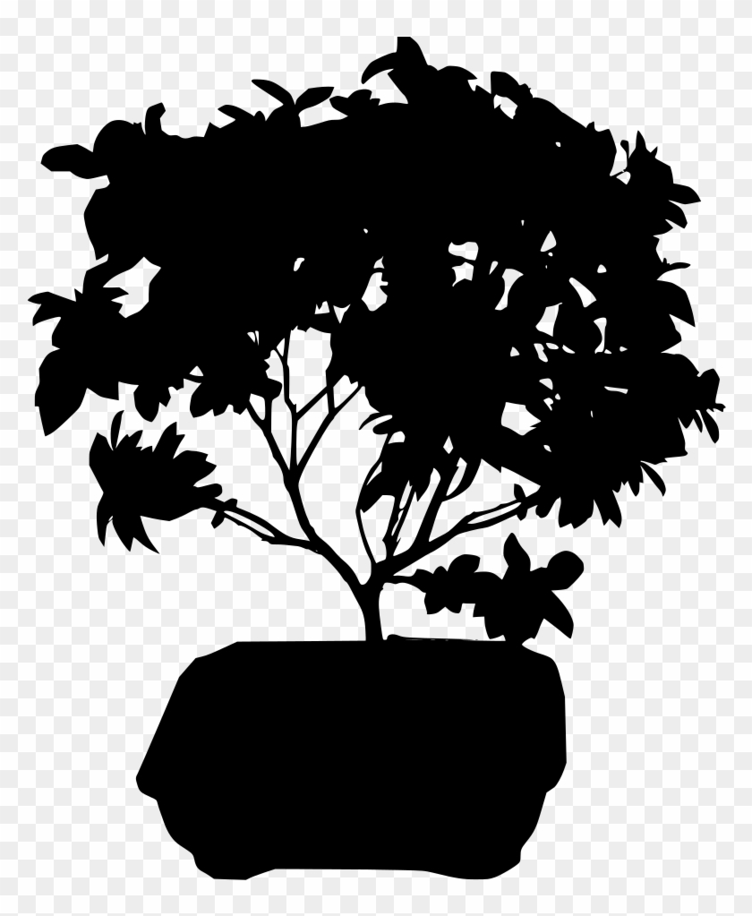 Download Png - Bonsai Clipart