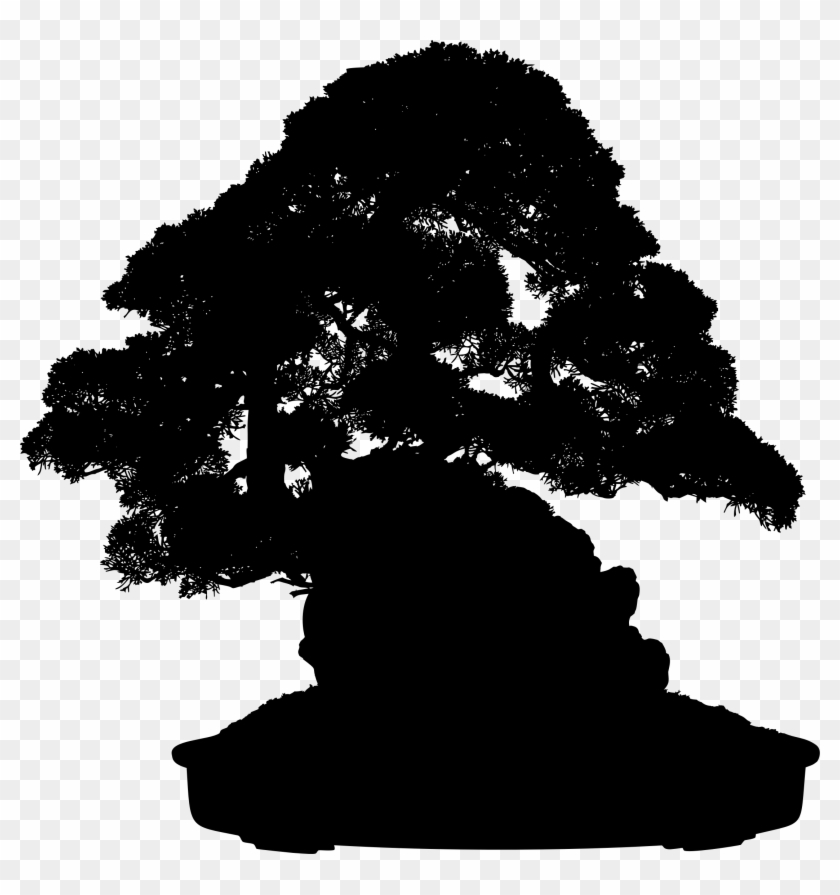 Indoor Bonsai Tree Light Weeping Fig Clipart