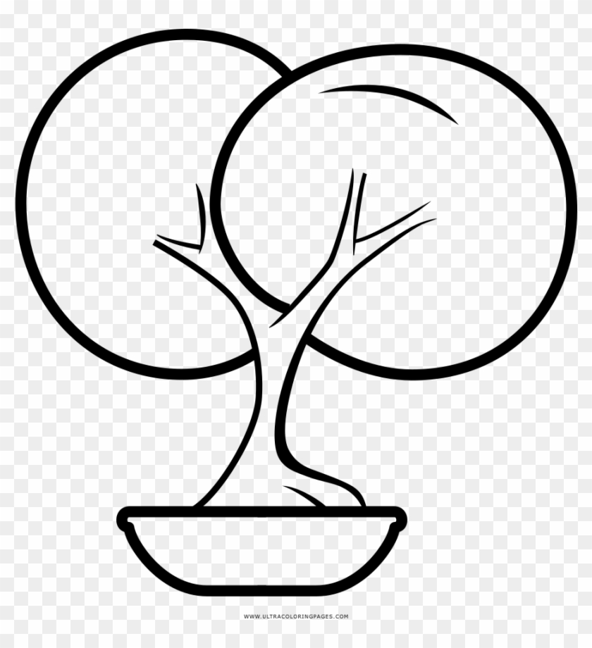 Bonsai Tree Coloring Page Clipart