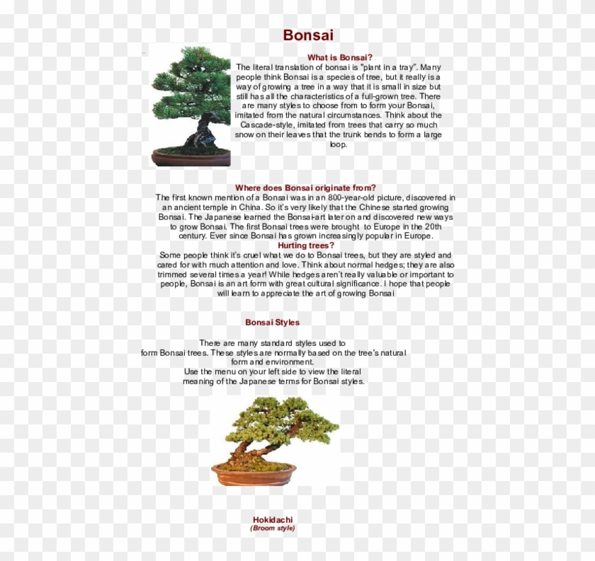 Doc - Bonsai Boom Clipart