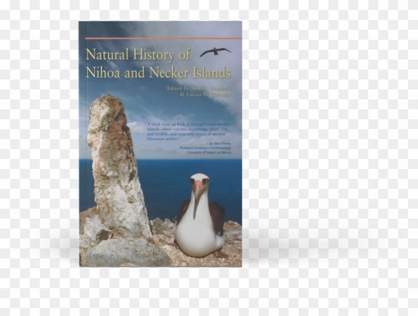 Stack Clipart #1893719