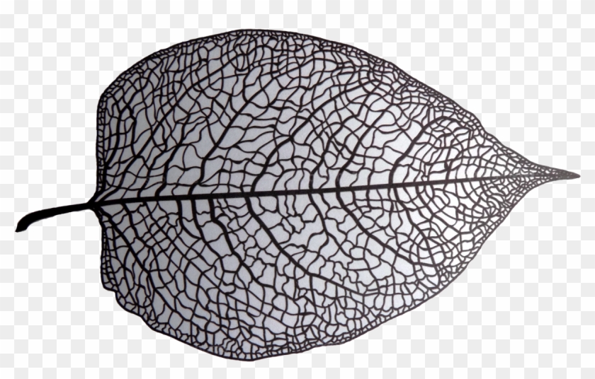 Black And White Skeleton Leaf - Illustration Clipart