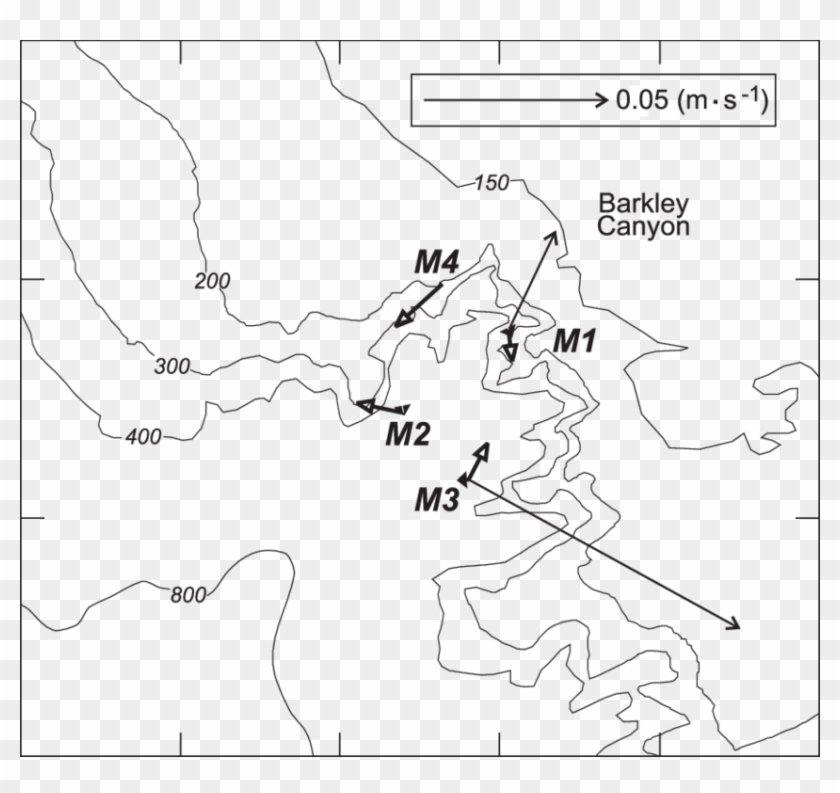 The Thin Arrows Are Currents At 150 M, The Open-headed - Line Art Clipart #1893950
