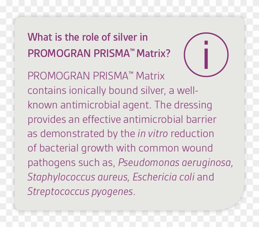 Promogran Prisma Hdw - Pocket Clipart #1894290