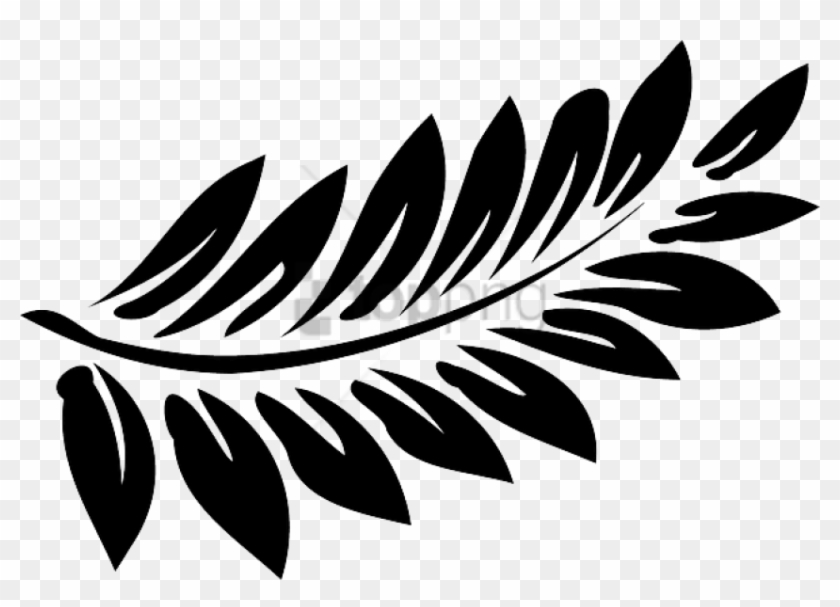 Free Png Black Leaves Png Image With Transparent Background - Reproductive Structure Of Pteridophytes Clipart #1894801