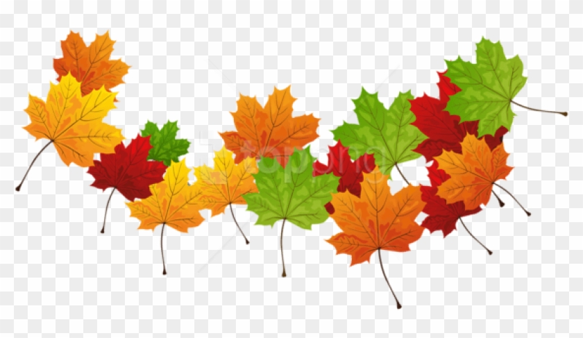 Free Png Download Fall Transparent Leaves Clipart Png - Transparent Pictures Of Leaves #1895067