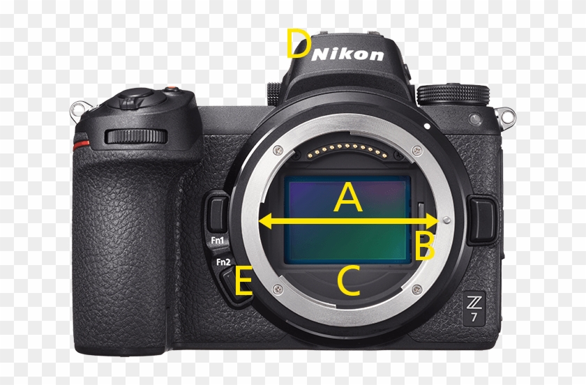 Nikon Z - Nikon Z6 Vs Nikon D610 Clipart