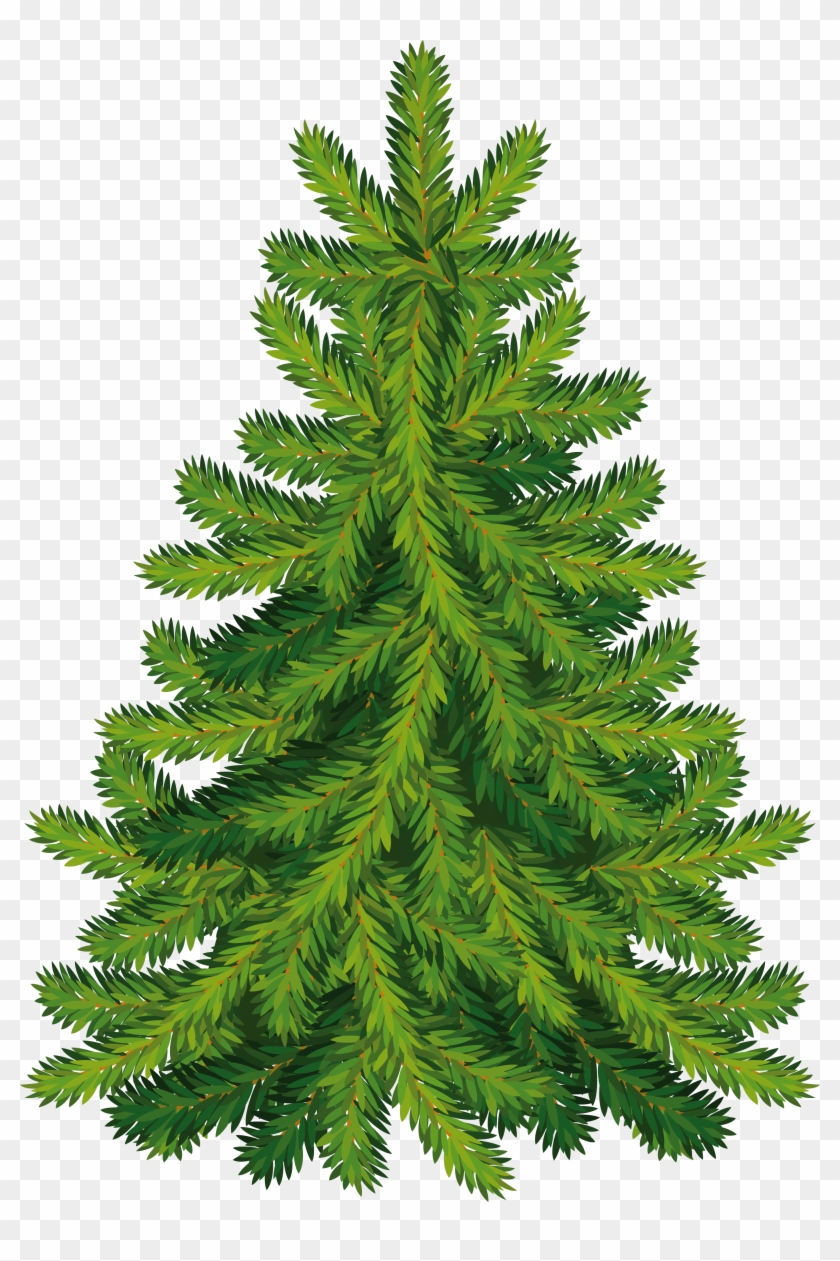 Christmas Clipart, Coniferous Trees, Tree Graphic, - Christmas Tree - Png Download #1895974