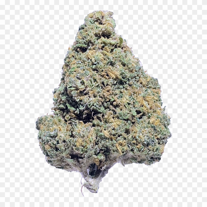 Blue Dragon - Outcrop Clipart #1896229