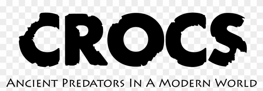 About This Exhibition - Macaw Clipart