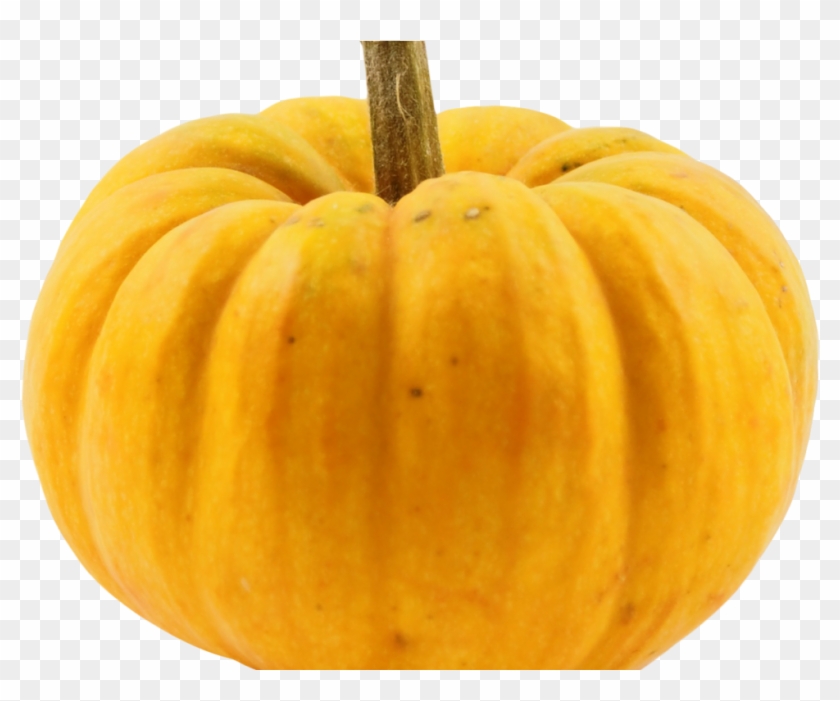 Pumpkin Png Image2 - Pumpkin Clipart
