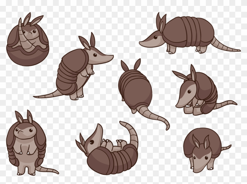 Armadillo Cartoon Vectors - Armadillo Vector Clipart