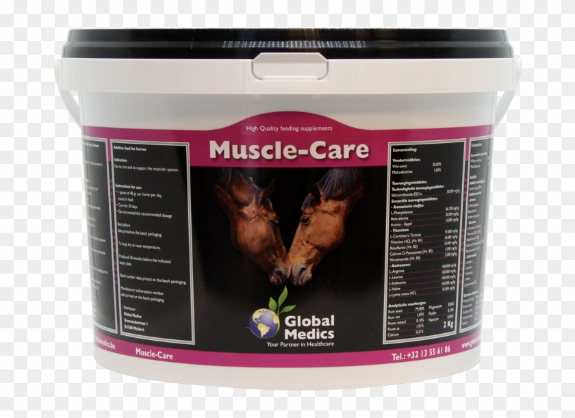 Muscle Care - Tendon Clipart