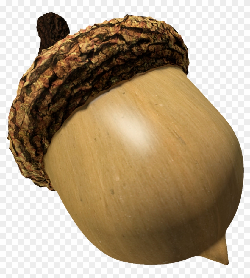 Acorn Animal Transparent Png Images Free Download 004 - Acorn Transparent Clipart #190738