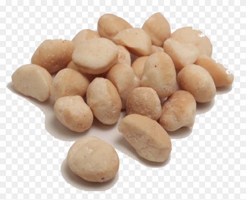 Macadamia Nuts Png Transparent Image - Macadamia Nuts Transparent Clipart #190955