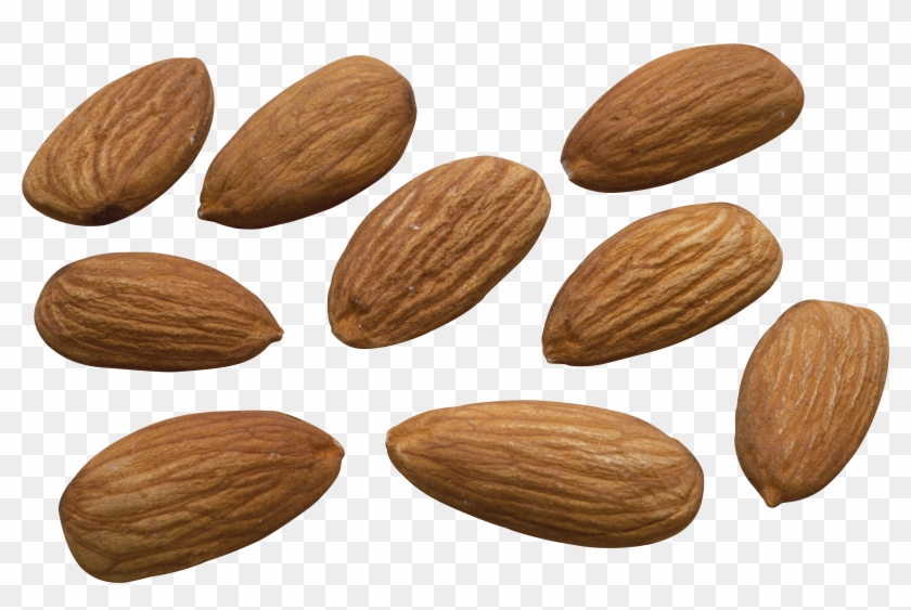 Blanched Almonds Clipart #190977