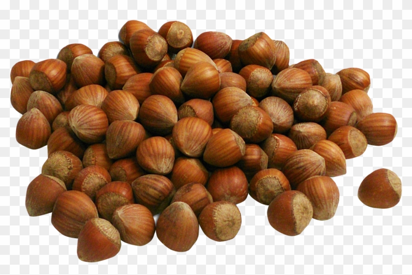 Hazelnut Png Clipart #191128