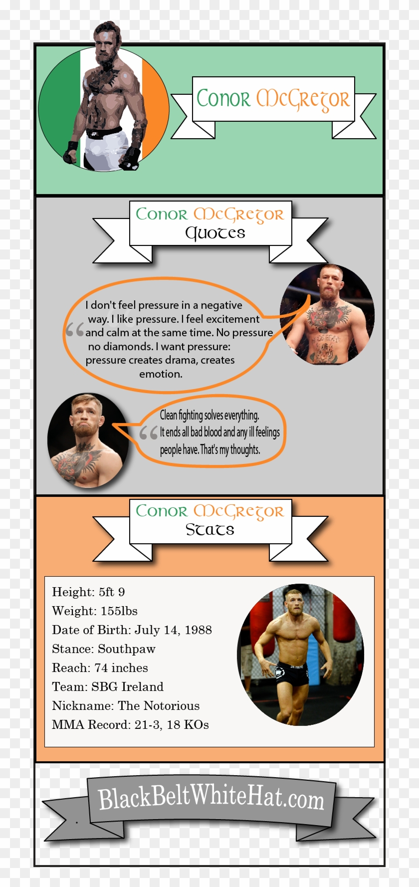 Conor Mcgregor Infographic - Lingerie Clipart #191213