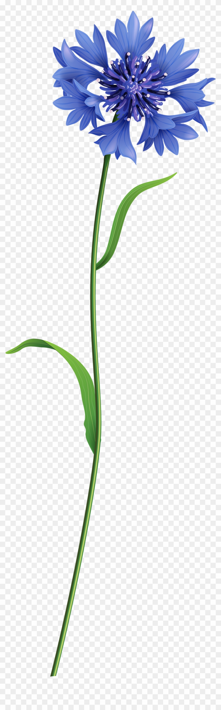 Blue Clip Art Image Gallery Yopriceville High - Field Flowers Png Transparent