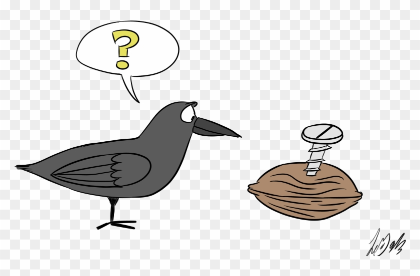 Crows Nuts Bolts - Illustration Clipart
