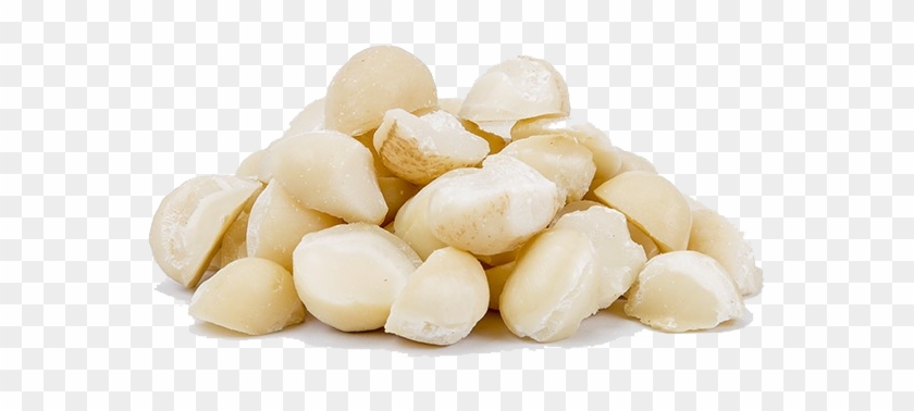 Macadamia Nuts Png Download Image - Macadamia Nuts Png Clipart #191827
