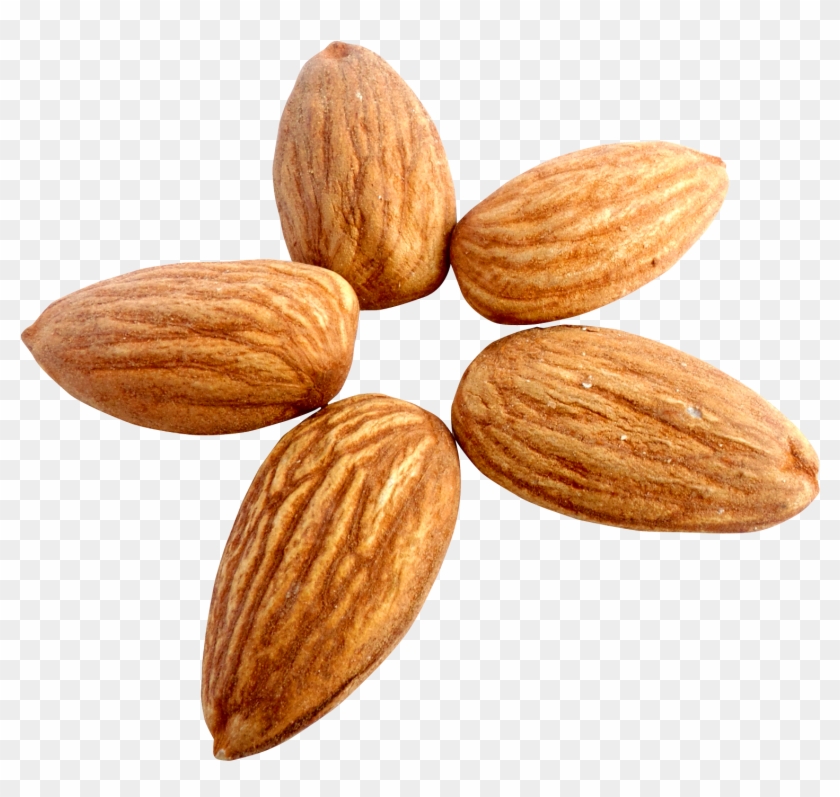 Almond Png Clipart #191984