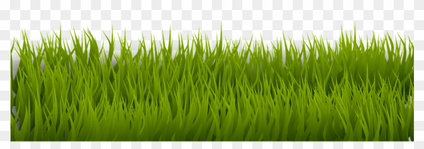 Grass Vector Png Clipart #192519