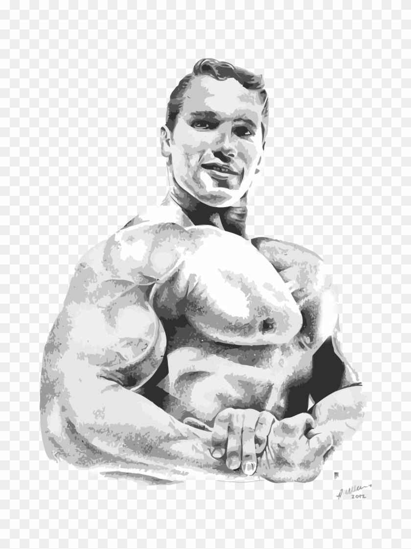 Arnold Schwarzenegger - “ - Arnold Hd Wallpaper Sketch Clipart