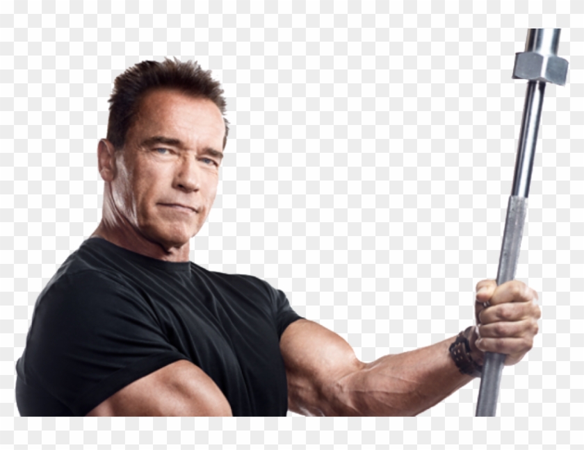 Arnold Schwarzenegger Png Free Download - Arnold Schwarzenegger 2017 Workout Clipart #192686