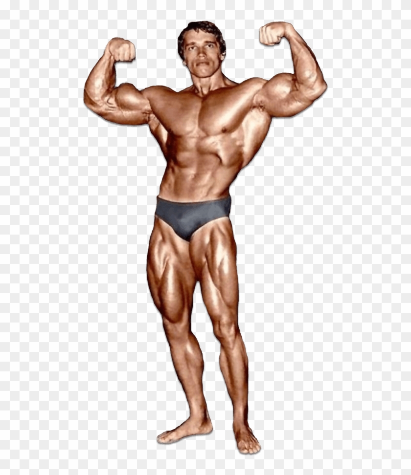 Arnold Schwarzenegger - Historyofbodybuilding - Com - Arnold Schwarzenegger Bodybuilding Clipart #192762