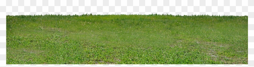 Dsc Stock Png Copy Ff By Annamae - Grass Clipart