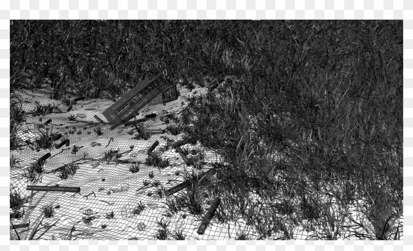 Grasfeld 12 Wire - Monochrome Clipart #193118