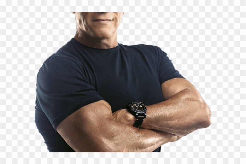 Arnold Schwarzenegger Clipart Transparent - Arnold Schwarzenegger Transparent - Png Download