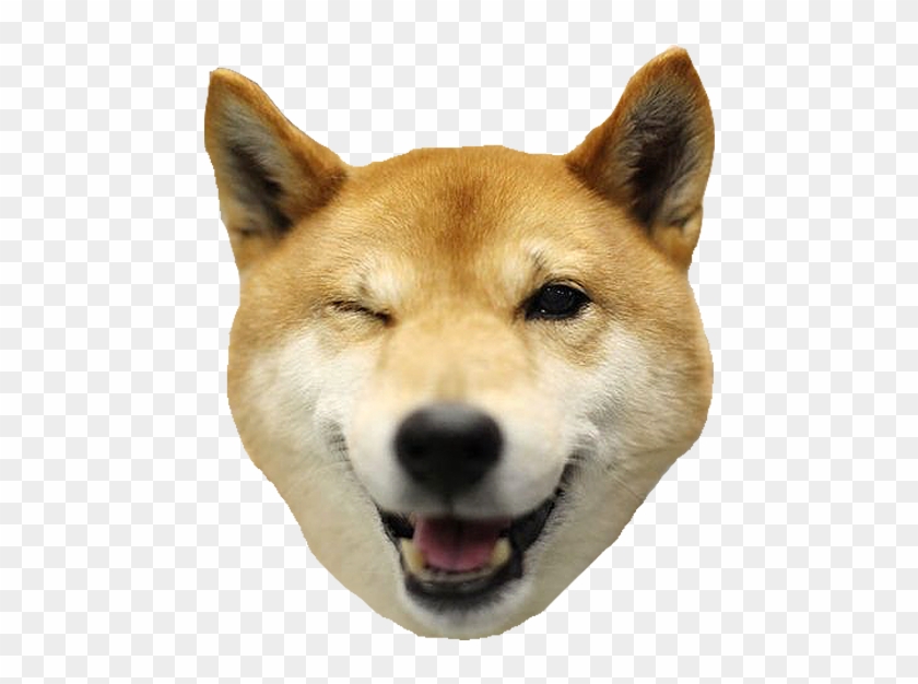 Doge Head Png Clipart 193843 Pikpng