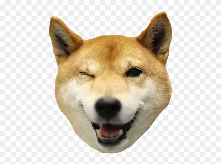 Doge Head Png Clipart #193843