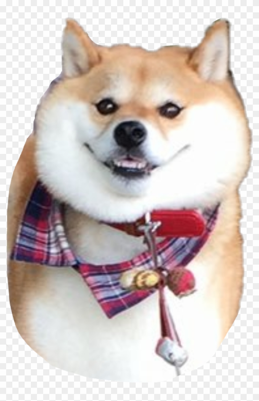 Cute Sticker - Shiba Inu Clipart #195648