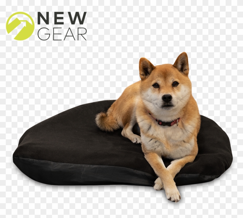 Write Your Own Review - Shiba Inu Clipart