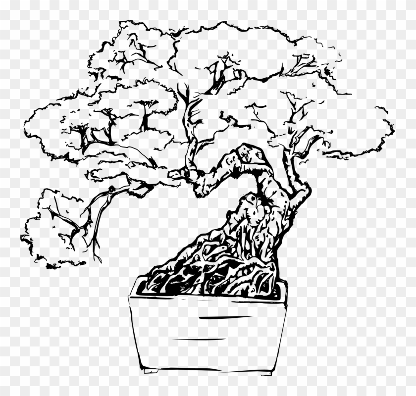 Thumb Image - Colouring Trees Digitally Clipart