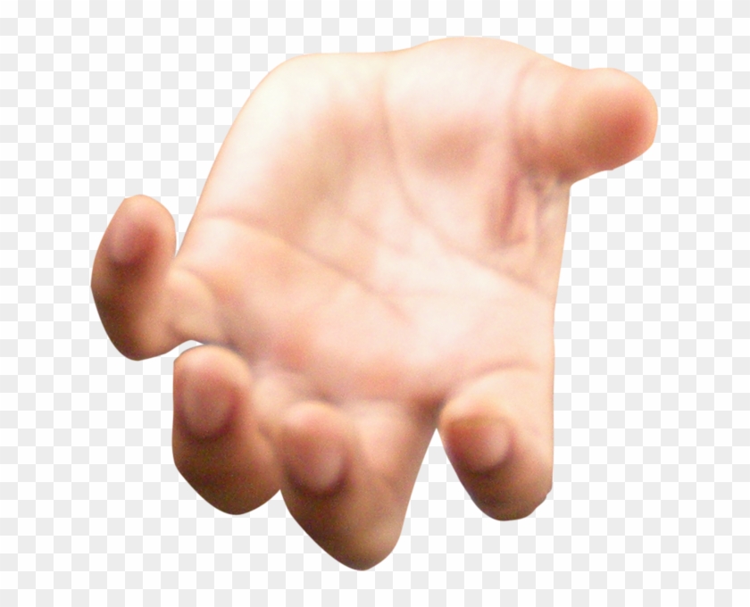 Open Hand Large - Open Hand Transparent Clipart (#196822) - PikPng