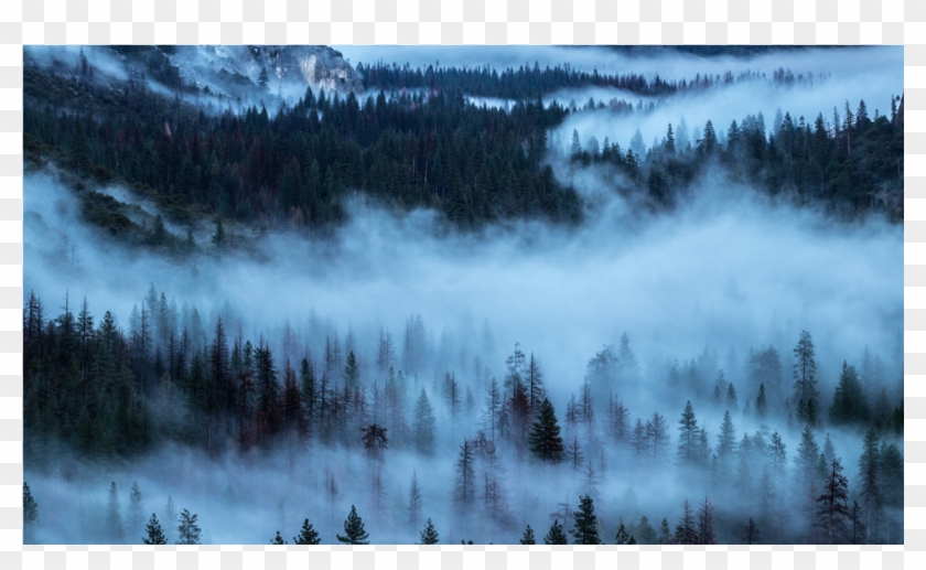 Туман Hd Clipart