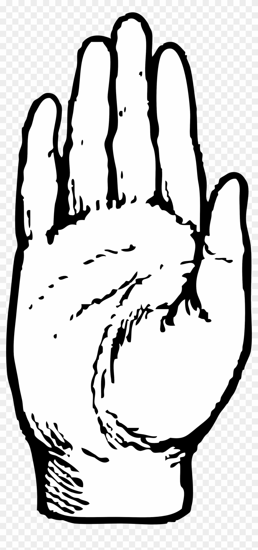 Open Hands Cliparts Image Source - Clip Art Hand Palm - Png Download