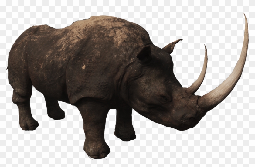 Rhino Png Photos - Black Rhinoceros Clipart #197660
