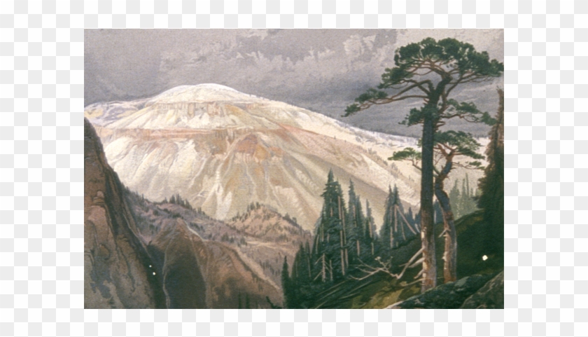 Topmost Tree Line - Yellowstone National Park, Tower Falls Clipart #197742