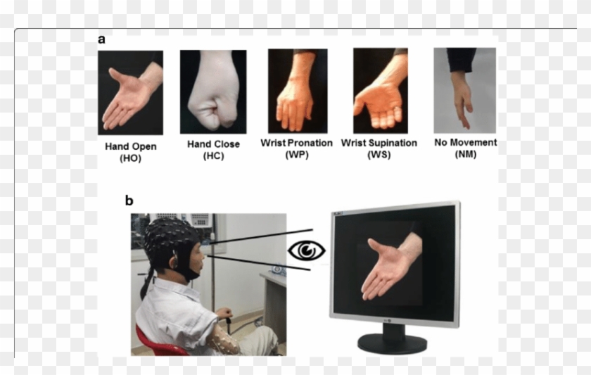 A Motion Classes Involved In The Study - Computer Monitor Clipart #198348