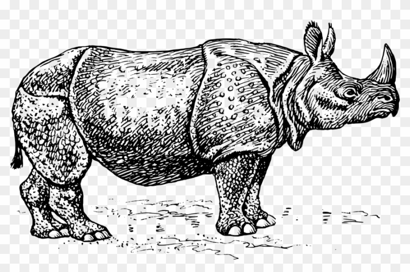 Rhino Png Clipart #198489