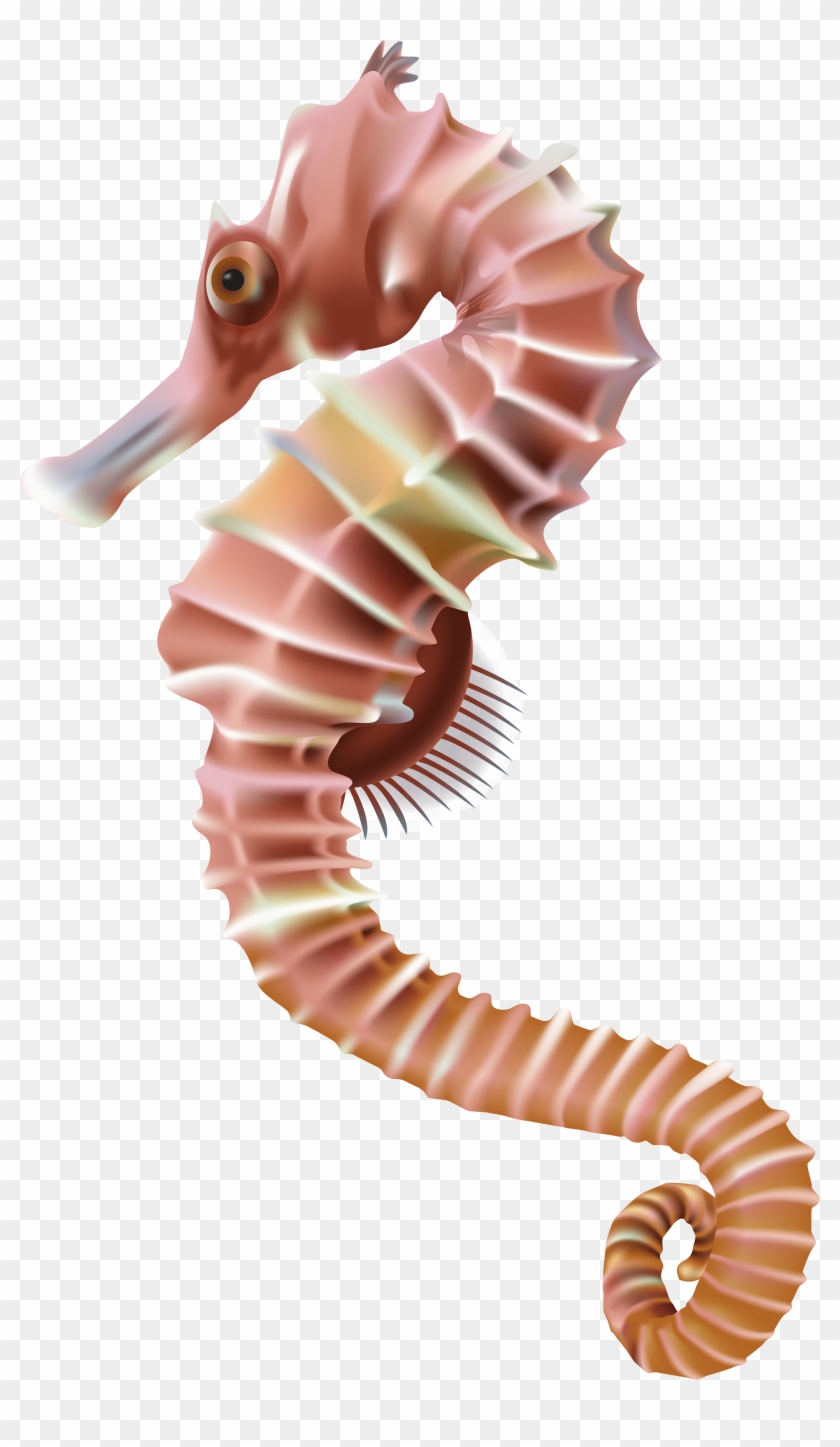 Seahorse Png Transparent Clip Art Image - Sea Horse Png Transparent #198929