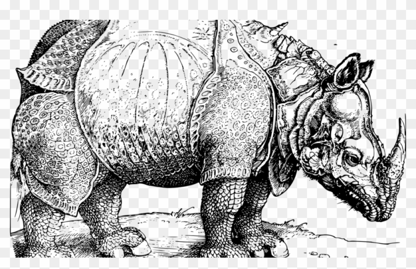 Rhinos Drawing Horn Rhino - Albrecht Durer Rhinoceros Clipart #199157